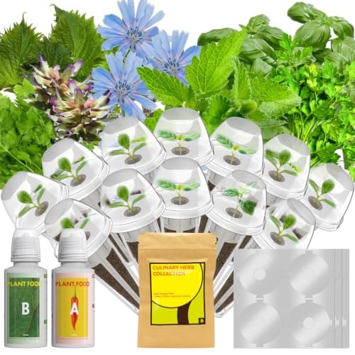12 Pods Herb Seed Pod Kit for AeroGarden, iDOO, Ahopegarden - Compatible with All Hydroponic Indoor Garden System, 350+ Seeds Includes Basil, Parsley, Mint, Cilantro, Shiso, Liquorice and Chicory - Image 1