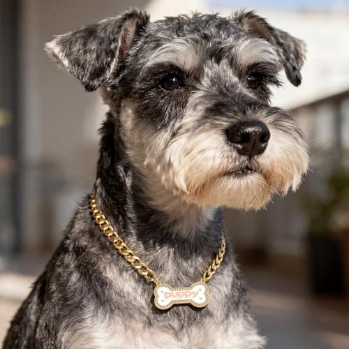 Cicy Bell Pet Dogs Cats Bow Collars | Alloy Cute Fashion Dog Necklace with Dog Bone Charm for Small Medium | Adjustable Elegant Sweet Accessories Gift for Kitten Puppy - Thumbnail 5