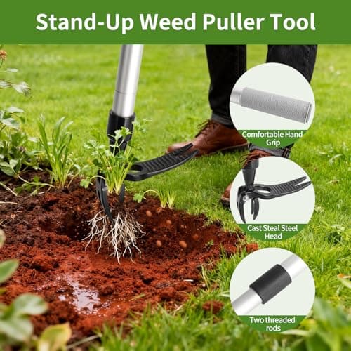 Hoffen Adjustable Stand Up Weeder (33-55 Inch), Lightweight Aluminum Weed Puller Tool, Telescoping Rotating Handle, 4-Claw Rust-Free, Corrosion-Resistant Gardening Tool for All Ages, Easy to Store - Thumbnail 4