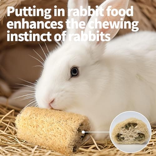 BESNEW 3 PCS Rabbit Chew Toys,100% Natural Loofah Without Additives,Bunny Chew Toys for Teeth,Fiber-Rich Rabbit Treats for Bunny Chinchilla Dogs - Thumbnail 4