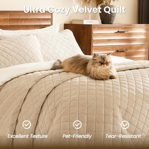 L'AGRATY Velvet Quilt King Size: 3-Piece Reversible Luxury Velvet Bedding Comforter Set - Lightweight Oversized Quilted Bedspread Coverlet with 2 Pillow Sham for All Season - Light Taupe Quilt - Thumbnail 5