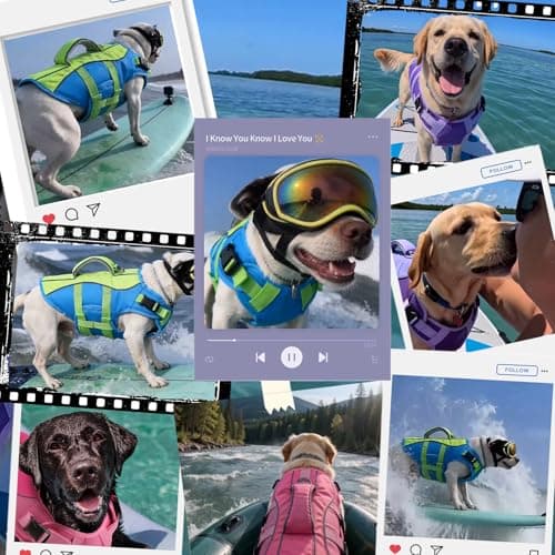 PETDSH Dog Life Jacket Large, High Flotation Dog Life Vest for Swimming Boating, Reflective Puppy Lifejacket with Superior Buoyancy and Rescue Handle, Adjustable Safety Dogs Floating Vests - Thumbnail 5