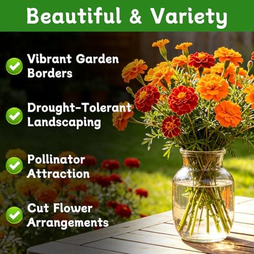 LUOJIBIE Marigold Seeds, 12,000+ Marigold Seeds for Planting Outdoor & Indoor, Flower Seeds Bulk for Gardening and Home, Non-GMO Heirloom, Easy to Grow - Thumbnail 2