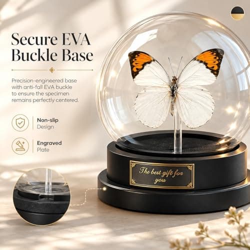 Wugakio Glass Taxidermy Butterfly Specimen Shadow Box, Butterfly Gifts for Women Girls with Glass Cover, Butterfly Decor for Bedroom Office Living Room Desk (Hebomoia glaucippe-1) - Thumbnail 6