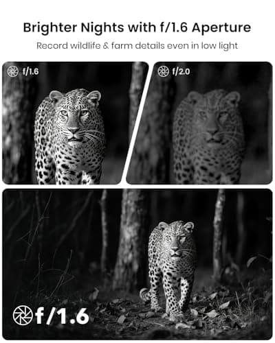 Misstech 4K UHD Solar Trail Camera for Game & Wildlife Monitoring - 0.1s Fast Activation to Record Animals, 64MP/4K Clear Night Vision, No Monthly Fee, App Control, IP66 Waterproof, 32GB SD Card - Thumbnail 5