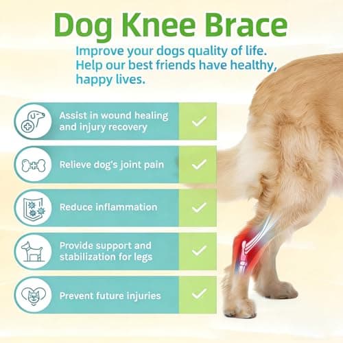 EGBULL Dog Hind Leg Support Brace - Thumbnail 6