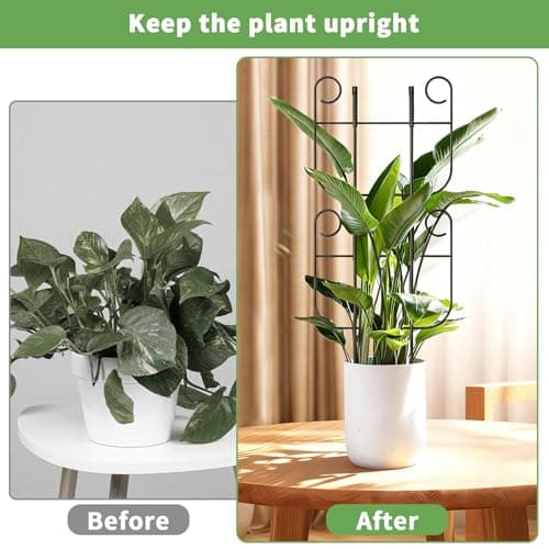 4 Pack Trellis for Climbing Plants Indoor, Expandable Small Metal Trellis for Potted Plants, Flowers Vine Ivy, Sturdy Houseplant Pothos Plant Climber Support - Thumbnail 5
