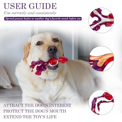 Frienhund 6-Pack Indestructible Dog Toys for Large Breed: Dog Toys for Aggressive Chewers, Nylon Dog Chew Bones for Large Dogs, Dog, Irresistible Beef Flavor - Thumbnail 2