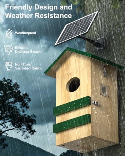 Owl Box with Camera Solar Powered,Large Pinewood Owls Nesting Box for Screech owl,4G Cellular,2K HD,Instant Alerts,Night Vision,APP Control,Nest Box for Outside（NOT WiFi） - Thumbnail 3