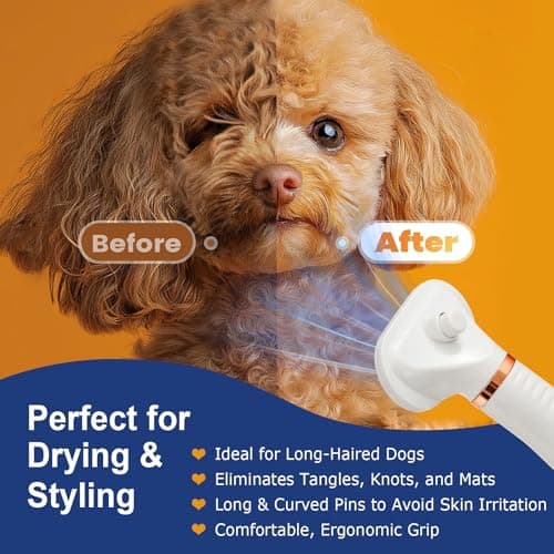 3-in-1 Pet Hair Dryer Brush for Dogs & Cats Portable, Dog Hair Blower & Slicker Brush Adjustable Temp (Low/Middle/High), Overheat Protection - Thumbnail 2