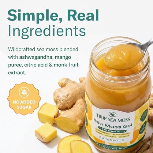 TrueSeaMoss Sea Moss Gel – Made in USA – 5-in-1 Formula – Wildcrafted Seamoss, Ashwagandha & Jarred Vegetables – Ashwagandha, Pack of 2 (Labels may Vary) - Thumbnail 3