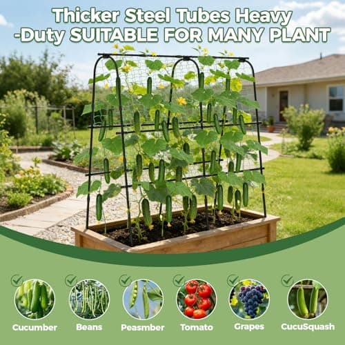 Cucumber Trellis for Raised Bed, 62"x62"U-Shape Garden Trellis for Climbing Plants Outdoor, Metal Arch Plant Support with Netting for Cucumbers, Beans, Tomatoes & Climbing Vegetables - Thumbnail 5