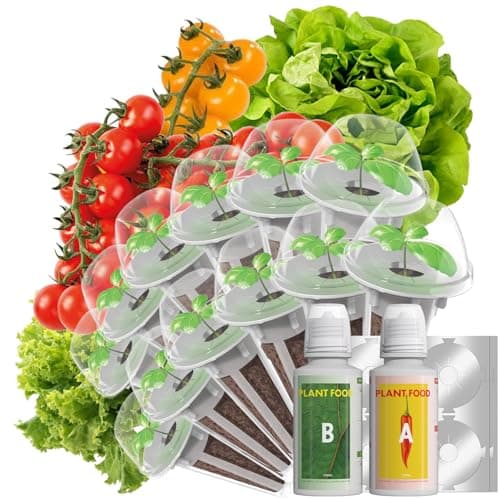 LYKO Low-Calorie Salad Seed Pods for AeroGarden, Ahopegarden, iDOO Hydroponics Growing System, 350 Seeds+ Including American Fast Lettuce, Buttercrunch Lettuce, Red Tomato, Golden Tomato (12-Pods) - Image 1