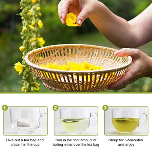 Mullein Leaf Tea, Mullein Tea Bags for Lung Cleanse, Respiratory Support and Mucous Membranes, Herbal Tea Caffeine Free, Non-GMO, 40 Tea Bags - Thumbnail 4