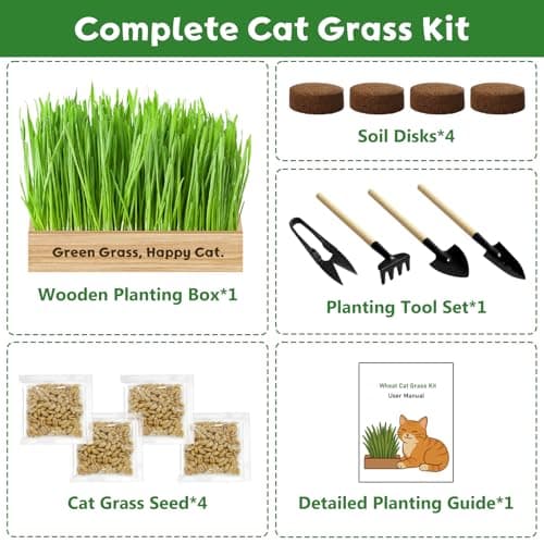 LUOJIBIE Cat Grass Kit for Indoor Cats, Cat Grass Seeds Set, Non-GMO Wheat Grass, Mother' s Day Gifts for Mom, Unique Christmas Birthday Gifts for Women Men Girl, House Warming Gifts for Cat Lover - Thumbnail 2