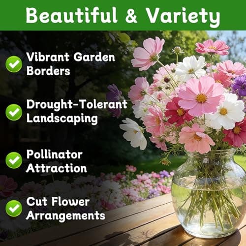 LUOJIBIE Cosmos Seeds, 4,500+ Cosmos Flower Seeds for 2026, Wildflower Seeds for Planting Outdoor Garden, Crazy Blend Mix Color, No Filler, 1.5 Oz Packet, Easy to Grow - Thumbnail 2