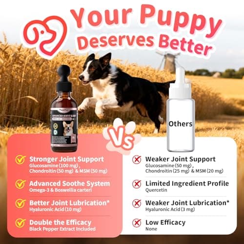 POPPAW Joint Supplement for Dogs - 10 in 1 Hip and Joint Supplement Drops with Hyaluronic Acid, Liquid Glucosamine for Dogs with Chondroitin, MSM & Omega 3-2 FL.Oz - for All Breeds & Sizes - Thumbnail 3