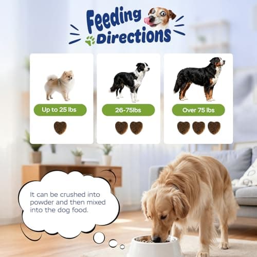 Xiderdl Dog Hip & Joint Supplement Chews with Glucosamine, Chondroitin & MSM – Joint Support Chews with Vitamins C & E for Dogs 120 Soft Chews - Thumbnail 5