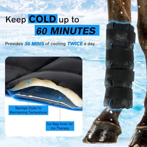 LUFFWELL Horse Leg Wraps Set of 2, Horse Ice Leg Boots Perfect for Equestrian Training& Daily Use, Comfortable and Premium Support for Injury Recovery to Fit for All Horses(Black & Blue, 2Pack) - Thumbnail 4