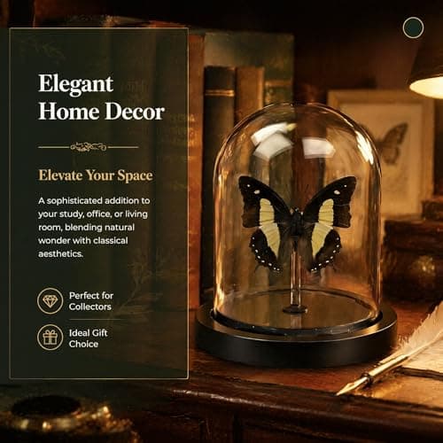 Real Taxidermy Butterfly Specimen Polyura narcaea Shadow Box, Butterfly Gifts for Women Girls with Glass Cover, Butterfly Decor for Bedroom Office Living Room Desk ﻿ - Thumbnail 5