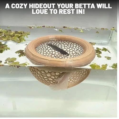 Ptazucv Floating Betta Fish Hammock – Minimalist Rest Platform & Floating Bed – Betta Tank Accessories for Small Aquariums, Nano Tanks，Shrimp and Small Fish(Off White) - Thumbnail 6