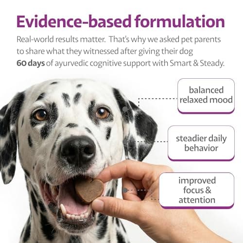Ayourpets Senior Dog Brain & Cognitive Support Chews – Memory, Focus & Mental Clarity with Brahmi, Ashwagandha & Omega-3 – Ayurvedic Herbal Formula – Fish Flavor – 90 Count - Thumbnail 2