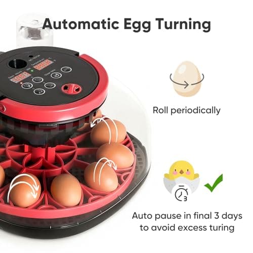 Joiify Incubators for Hatching Eggs, 12-24 Egg Smart WiFi Incubator with 1080P Camera, App Control, One-Click Incubation for Chicken Quail Duck Pigeon, Auto Egg Turner, External Water Refill, Candler - Thumbnail 4