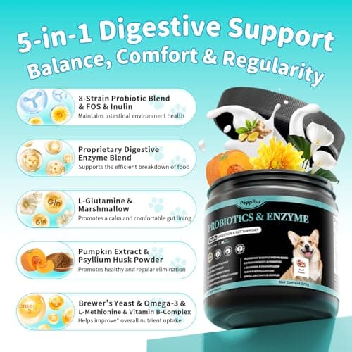 Probiotics for Dogs, Digestive Enzymes & Pumpkin Fiber for Gut Health and Bowel Support, Dog Supplement for Gas Relief & Constipation, 10B CFU with 5 Prebiotics & 5 Enzymes, 90 Count Beef Flavor - Thumbnail 6