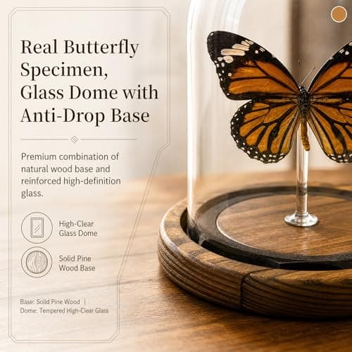 Wugakio Glass Taxidermy Butterfly Specimen Shadow Box, Butterfly Gifts for Women Girls with Glass Cover, Butterfly Decor for Bedroom Office Living Room Desk (Danaus genutia) - Thumbnail 2