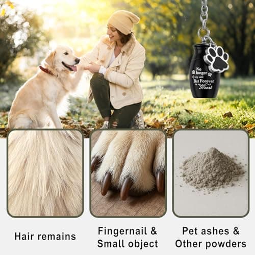 Hicustore Dog Frames for Pictures Memorial, Personalized Pet Picture Frame Memorial Gifts for Loss of Dogs, Pet Collar Frame with A Pet Dog Urns Keychain - Thumbnail 4