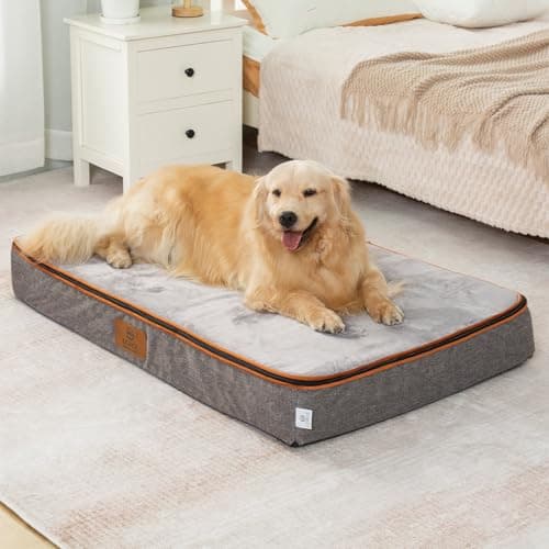 LIORCE Orthopedic Memory Foam XXL Dog Bed - 6" Thick Beds for Extra Large Sized Dog - Waterproof Removable Washable Cover & Wrap-Around Zipper - Ultimate Comfort & Easy Maintenance, Light Grey - Image 1
