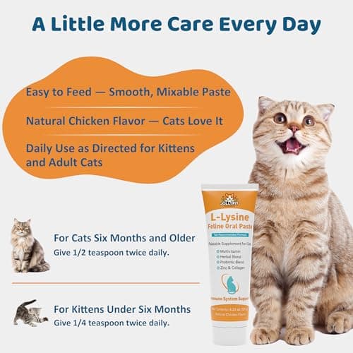 L-Lysine for Cats Oral Paste – Immune & Respiratory Support for Felines – with Collagen, Zinc, Multivitamins & Probiotics – Natural Chicken Flavor, 4.23 oz (120g) (1) - Thumbnail 5