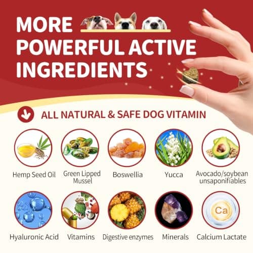 NATURE TARGET Glucosamine for Dogs, Joint Supplement with Chondroitin, MSM, Omega-3, Hemp for Pain Relief, Hip & Joint Chews for Dogs with Calcium for Bone Health, 120 Soft Chews - Thumbnail 4
