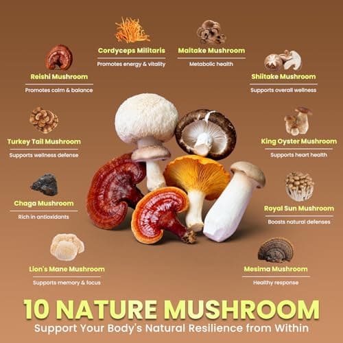 B BEWORTHS Mushroom Hot Cocoa, 10 - Blend Mushroom Extract Complex with Sleep Support Formula, Ashwagandha, L-Theanine, Lemon Balm, GABA, Melatonin, Support Fall Asleep and Stay Asleep, 30 Servings - Thumbnail 4