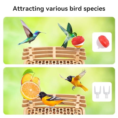 AiQInu Bird Feeder with Camera Solar Powered 4K QHD Live Video Camera AI Recognition Bird House with Camera Auto Record Birds Watching Camera Outdoor Live Stream Birds Lover Gift - Thumbnail 6