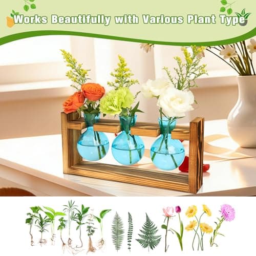 XXXFLOWER Propagation Station with Wooden Stand, 3 Bulb Glass Vase Plant Terrarium for Hydroponics Home Office Indoor Decor,Plant Gift for Mom Women Wife Friend Plant Lovers (Blue) - Thumbnail 5