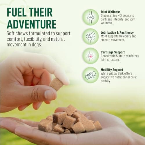 My Dog Sanctuary 120 Chews Hip and Joint Supplement for Dogs - Glucosamine, Chondroitin & MSM,Dog Joint Supplement - Mobility, Flexibility & Cartilage Support - Bacon Flavor - Thumbnail 2