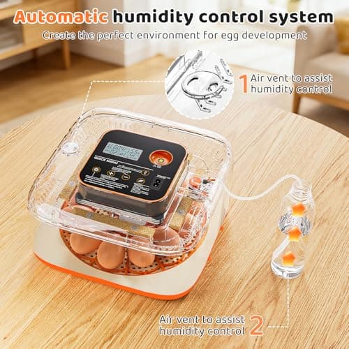 Incubators for Hatching Eggs 12 Egg Digital Egg Incubator Precision Auto Temp Humidity Control 6 Gear Adjustable Auto Turner Auto Stop Turning Hatching Days Display for Chicken Duck Goose Eggs - Thumbnail 5