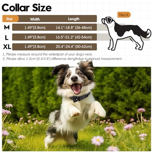 Relux Tactical Dog Collar with Handle - Adjustable Pet Collar Designed for Medium Dogs with Heavy-Duty Metal Buckle, Durable and Comfortable Dog Collar, Suitable for Medium Dogs (Black, L) - Thumbnail 3