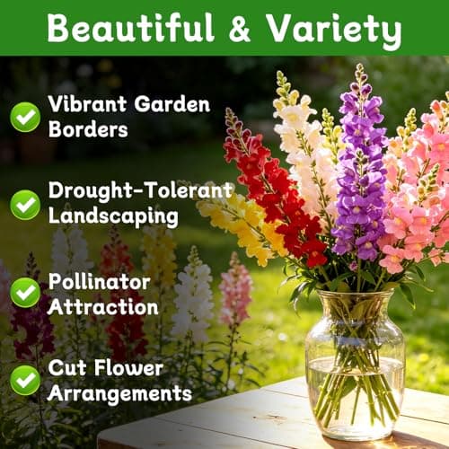 LUOJIBIE Snapdragon Seeds, 10,0000+ Tetra Mix Snapdragon Seeds for Planting (Antirrhinum Majus) Fairy Bouquet Blend, Non-GMO Heirloom Annual Flower Garden Seeds Bulk for Outdoor & Indoor - Thumbnail 2