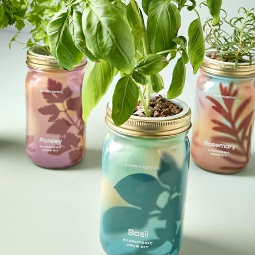 Modern Sprout Garden Jars + Smart Growbar Bundle - Self-Watering Hydroponic Herb Growing Kit with Full-Spectrum LED Grow Light, Organic Herb Seeds, Smart App, Adjustable Brightness, Ideal for Gifting - Thumbnail 2