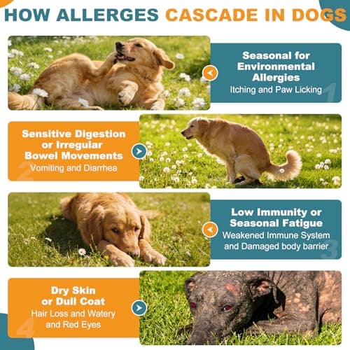 Dog Allergy Chews, Allergy Immune Bites for Dogs, Itching Skin Relief, Itchy Ears, Anti Itch, Paw Licking Treatment, Seasonal Allergies, Dog Probiotics for Digestive Health & Gut Health, 180 Chews - Thumbnail 4