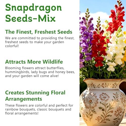 LUOJIBIE Snapdragon Seeds, 10,0000+ Tetra Mix Snapdragon Seeds for Planting (Antirrhinum Majus) Fairy Bouquet Blend, Non-GMO Heirloom Annual Flower Garden Seeds Bulk for Outdoor & Indoor - Thumbnail 4