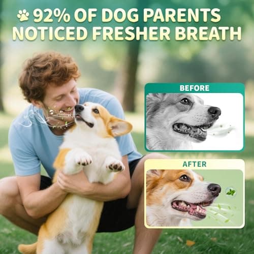 POPPAW Dog Dental Powder – Teeth Cleaning Powder with 6B CFU Probiotics, Enzymes & Antioxidants, Plaque & Tartar Off, Fresh Breath Support, 75 Days, Mint Chicken Flavor, No Brushing Oral Care - Thumbnail 3