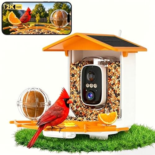 Bird Feeder with Camera,AI Identify Birds Species,Solar Powered,Auto Record Videos in Backyard,Instant Notifications,Ideal Gift for Family and Bird Lovers (Orange)