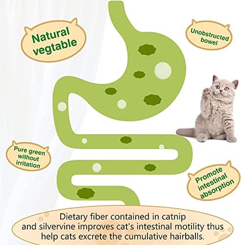 SINROBO 3 Pack Catnip Balls, Catnip Ball for Cats Wall, Edible Kitty Toys for Cats Lick, Safe Healthy Kitten Chew Toys, Teeth Cleaning Dental Cat Toys, Cat Wall Treats (Green) - Thumbnail 6