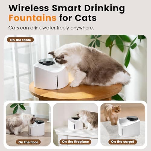 Wireless Cat Water Fountain with Smart App Monitoring, BPA-Free Ensure Safety, 2.5L/84oz Pet Water Fountain, Increase Water Intake, Ultra-Quiet Automatic Cats Dog Dispenser with Hydration Tracking - Thumbnail 6