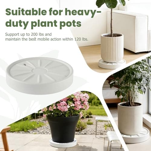 CITOL 2 Pack Plant Caddy with Wheels, 11 Inch Rolling Plant Stand Indoor, Breathable and Drainage Plant Rollers with Wheels for Planters , Heavy Duty Plant Dolly Mover, Beige - Thumbnail 6