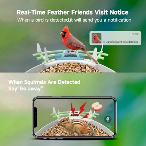 Smart Bird Feeder with Camera Solar Powered,AI Identify Species,2K HD Video Auto Capture Live for Outdoor Backyard,Ideal Gift for Family Bird Lovers (Green) - Thumbnail 3
