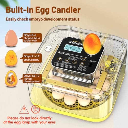 Incubator for Hatching Eggs, 12 Eggs Incubator with Automatic Egg Turning, Temperature & Humidity Control, LED Egg Candler, Incubation Days Display, for Chicken, Duck, Quail, Parrot Bird Eggs - Thumbnail 4